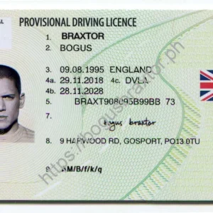BUY UK PROVISIONAL LICENCE