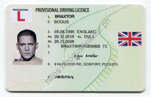 BUY UK PROVISIONAL LICENCE